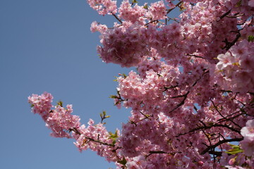 It’s getting warmer