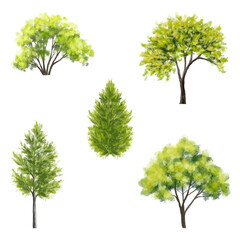 Vector green tree side view isolated on white background for landscape and architecture layout drawing, elements for environment and garden, tree elevation