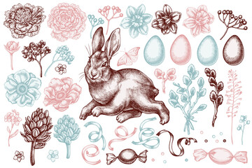 Easter hand drawn vector illustrations collection. Stylized rabbit, eggs, willow branches, candies, shepherd's purse, great orange-tip, anemone, viburnum, hyacinth, peony, forget me not flower