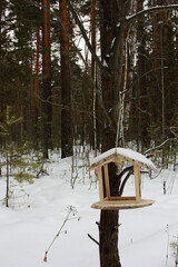 Bird feeder in winter forest