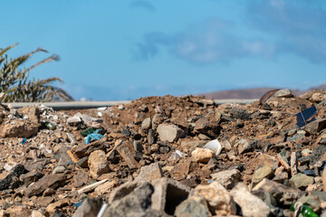 pretty bird from the canary islands among remains of rubble in an illegal rubble dump near the road