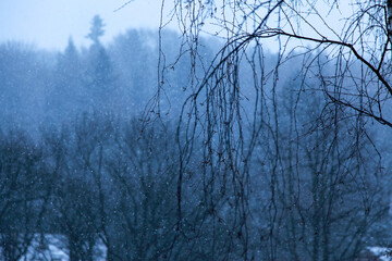 Subcarpathia in Winter
