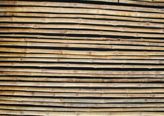 Bamboo sticks texture