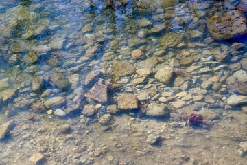 A close view of the rocks and stones in the clear water.