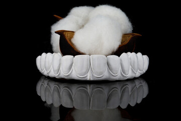 composition of a primary prosthesis made of milled zircon with a cotton flower on black glass