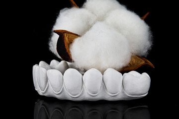 side view of the posterior teeth of a primary denture made of zircon with a cotton flower on black...