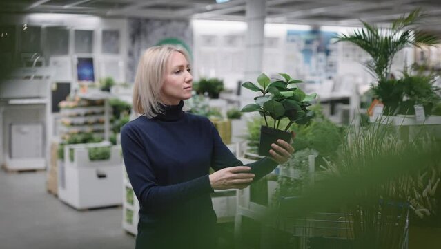 Attractive business woman chooses plastic flowers for her interior.