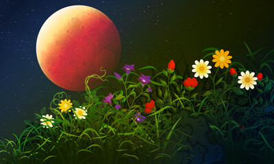 Obraz na płótnie Canvas Night sky of flowers and bushes field Wild chrysanthemum Red full moon