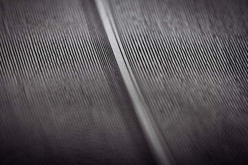Macro shot of vinyl record showing scratches