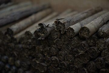 Handmade, high-quality Dominican cigars. The process of rolling tobacco leaves.