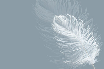 A delicate white feather on a blue background. Airy composition for the walls. Hand-drawn 3D illustration. Cement background with beautiful feathers wallpaper.