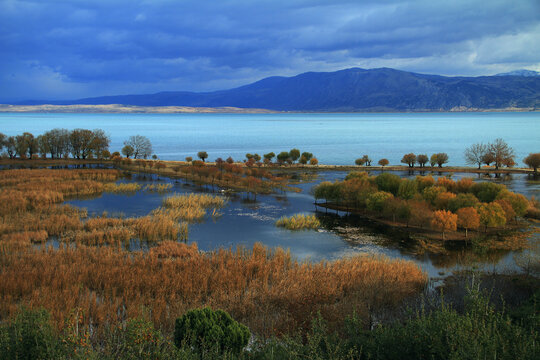 autumn in the longoz