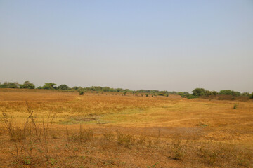 Landscape view of dry agriculture land during summer in India