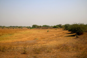 Landscape view of dry agriculture land during summer in India
