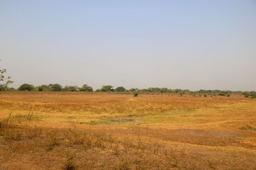 Obraz premium Landscape view of dry agriculture land during summer in India