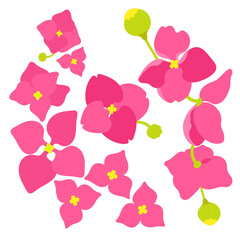 Obraz premium hydrangeas flower seamless pattern
