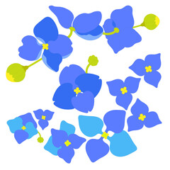 hydrangeas flower seamless pattern