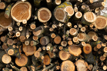 Firewood stacked in a pile on a farm for space heating