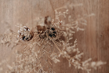 Top view of brown dried flowers decorated on wooden table.