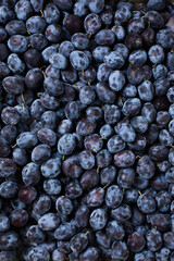 background of beautiful home plums