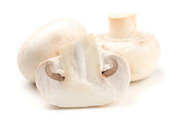 Fototapeta na wymiar white mushroom isolated on white