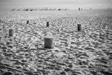 old wooden groynes pegs on the beach of Jandia, Fuerteventura, the Spanish Canary Islands, in the...