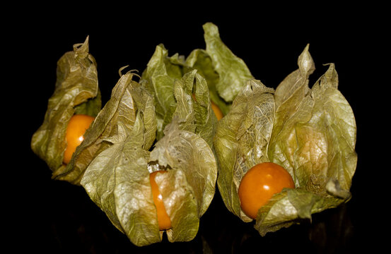 Physalis - about fruit and consumption benefits - concept. Fruit belonging to the class Physaleae. Fruit on a black background.