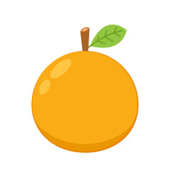Orange cartoon vector. Orange icon. Fruit vector.
