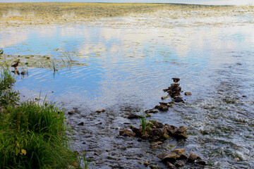 rivers in the summer in the Lipetsk region