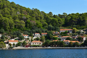 Fototapeta na wymiar the Mljet island, Croatia- september 3 2021 : picturesque island in summer