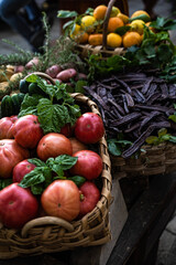 apples in the basket
