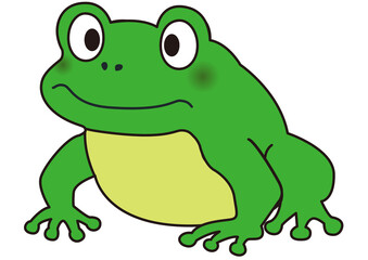 蛙,カエル,かえる,アマガエル,動物,動物園,かわいい,可愛い,frog,両生類,横向き,梅雨,笑顔,生物,ゆるい,手描き,イラスト,単品,挿絵,アイコン,子供向け,アニマル,キャラクター,飼育,生き物,サファリパーク