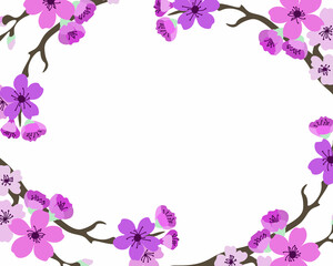 Background with sakura flowering branches on a white background.