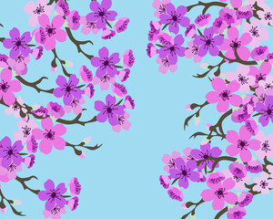 Image of sakura blossoms on a blue background.
