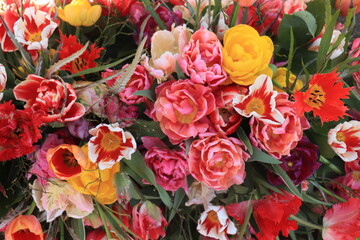 Obraz na płótnie Canvas Mixed spring tulips bouquet