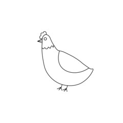 Chicken vector illustration on white background