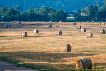 Haystacks in the field. Italy