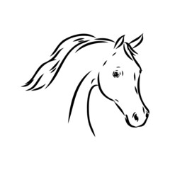 Naklejka premium handdrawn of arabian horse sketch with pen in vector format. EPS 10
