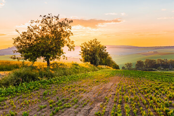 Moravian Tuscany is a popular name for the area near Kyjov in the South Moravian Region, which with its terrain waves resembles the landscape of Italian Tuscany