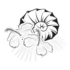 nautilus shell and palm leaves