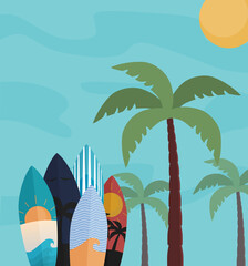 surf board and beach, Surfboard, Surfing collection