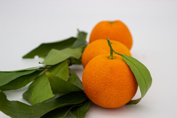 Three ripe tangerines with green leaves