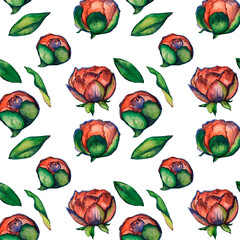 seamless pattern red watercolor peonies. Red flowers. Hand drawn flowers. red flowers with green leaves on a white isolated background.