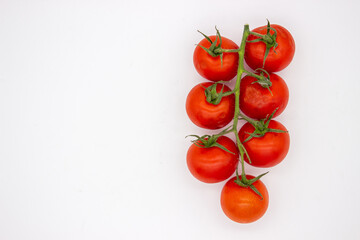 Cherry tomatoes on branch stand on white background
