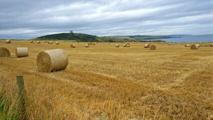 Fototapeta na wymiar Hay bales in a Scottish field during a cloudy day next to the cliffs