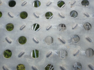 Nature under the metal floor 