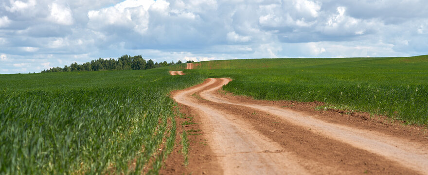 Before the rain. A perspective image of a winding dirt road stretching into the distance through a field with wheat sprouts. Copy space.