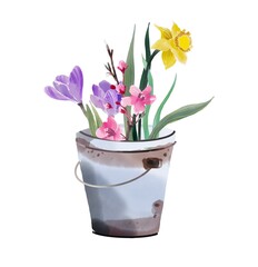 Spring flowers in a bucket garden illustration elements set happy springtime