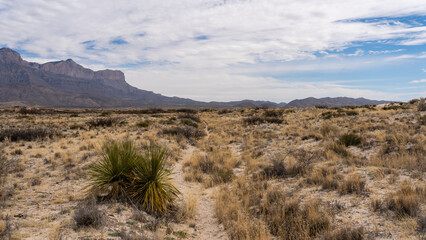 Guadalupe Mountain National Park