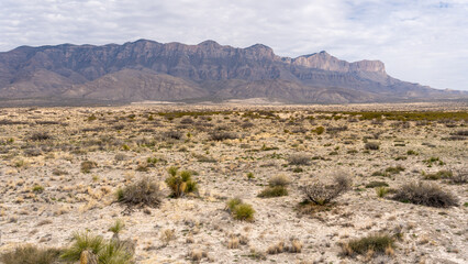 Fototapeta na wymiar Guadalupe Mountain National Park
